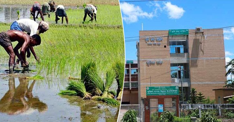 রংপুরে ৫ বছরে কৃষিজমি কমেছে দেড় হাজার হেক্টর
